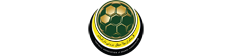 Football Association of Brunei Darussalam